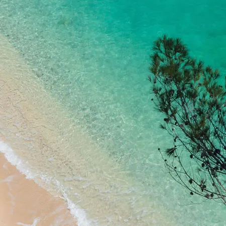 酒店 Baia Delle Zagare - Handwritten Collection